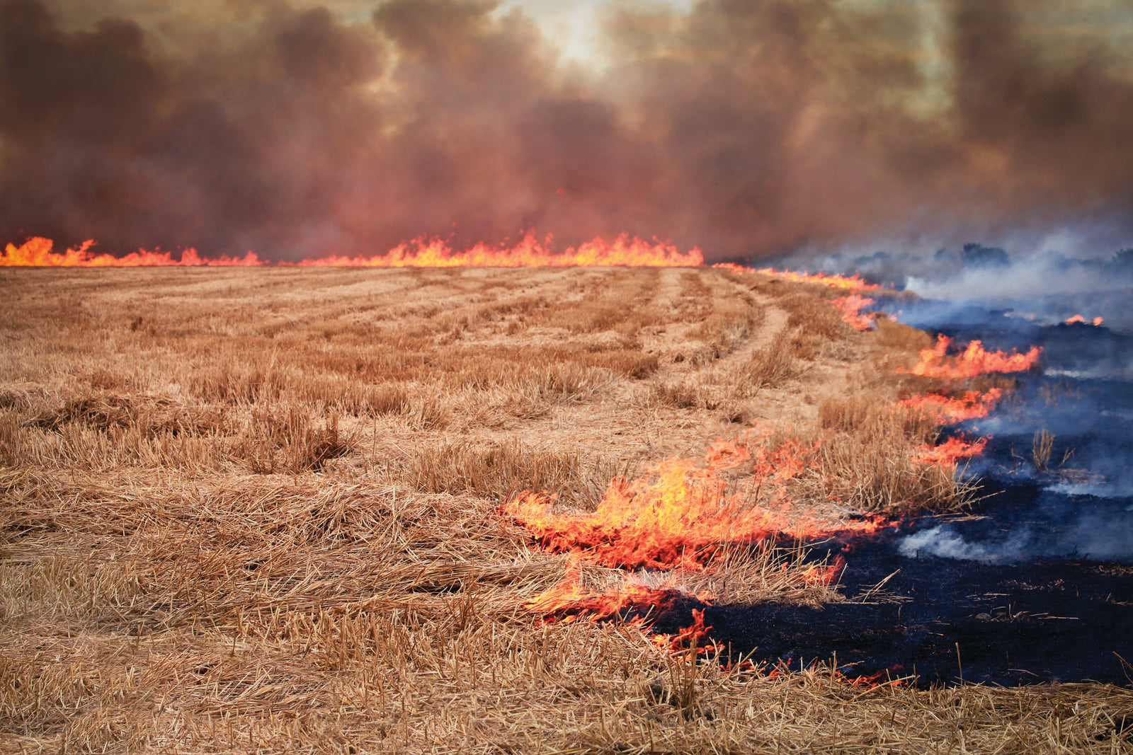 Fire Protection & Emergency Water