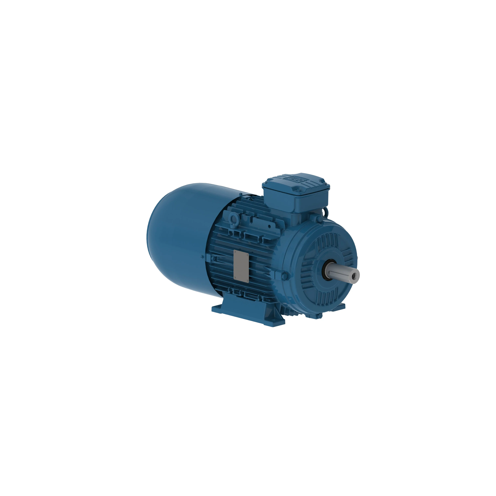 Weg - Electric Motors