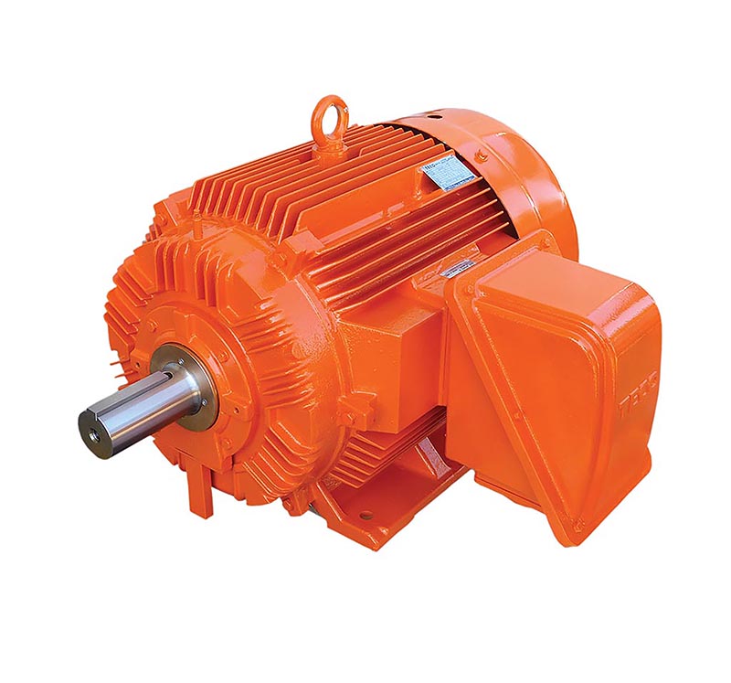 TECO MAXe3 Mining Electric Motor