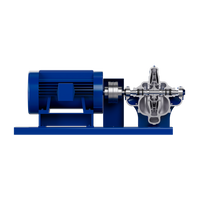 Pentair Aurora 411 Horizontal Single Stage Split Case Pump
