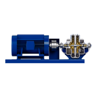 Pentair Aurora 421 Horizontal Two Stage Split Case Pump