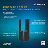 Pentek NCP Series