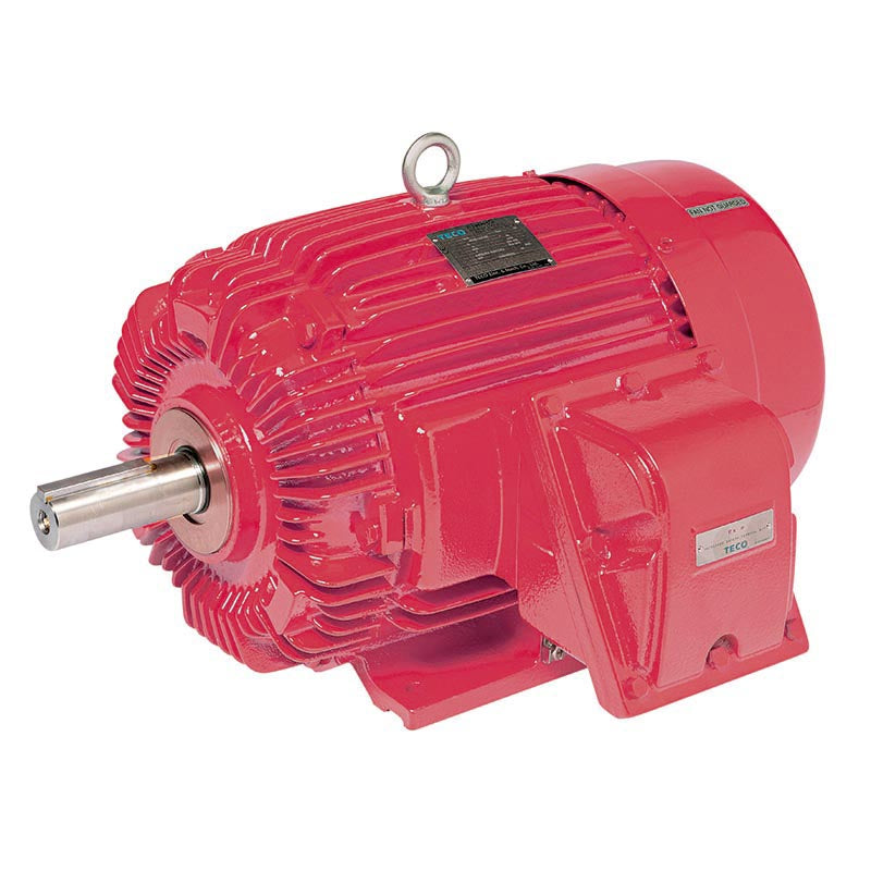 TECO MAX-Ex (Exe,ExnA,ExtD) Electric Motors