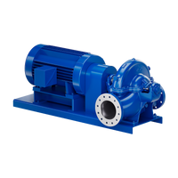 Pentair Aurora 411 Horizontal Single Stage Split Case Pump